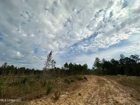 Cr 2120, Mccool, MS 39108 photo 6