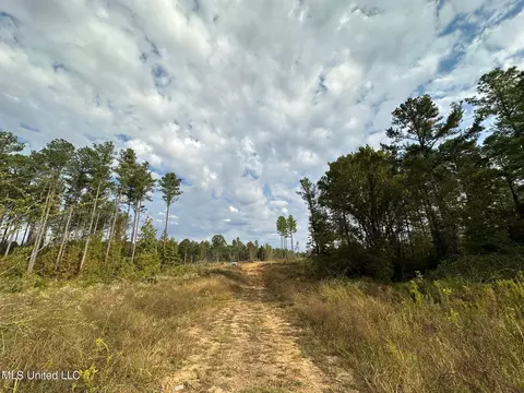 Cr 2120, Mccool, MS 39108 photo 3