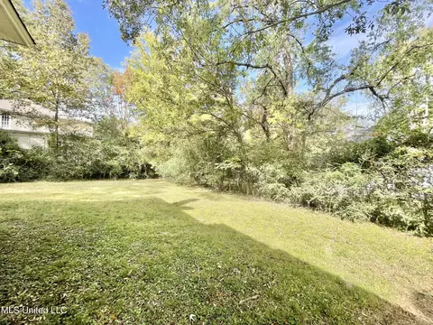 596 Central Ave, Coldwater, MS 38618 photo 33