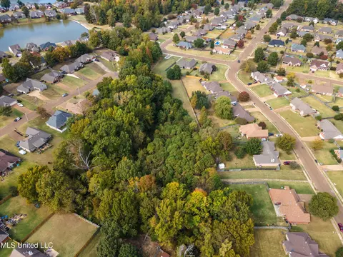 45 Fawn Ln, Hernando, MS 38632 photo 16