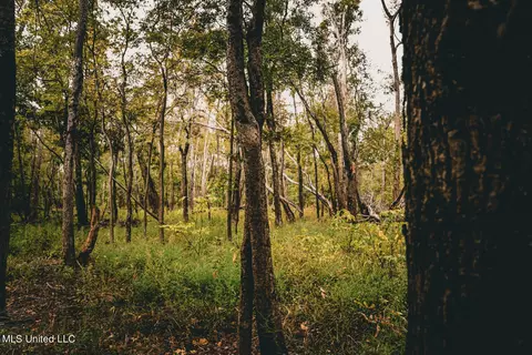 6581 Pecan Grove Rd, Woodville, MS 39669