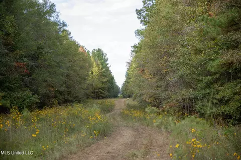 Rock Hill Rd, Brandon, MS 39042