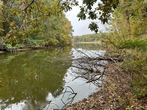 10825 Ben Vorlichs Head, Hernando, MS 38632