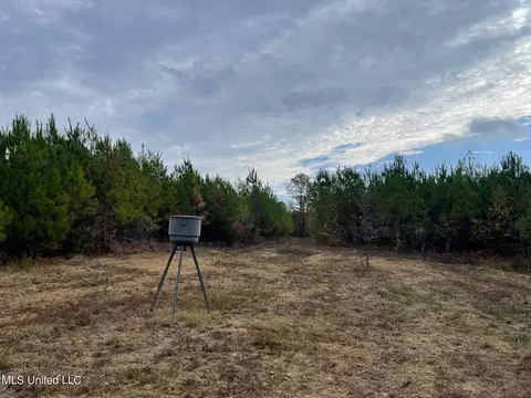 Highway 27, Utica, MS 39175 photo 14