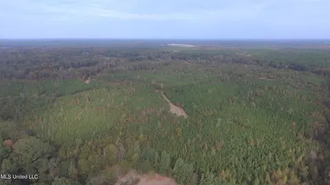 Highway 27, Utica, MS 39175 photo 8