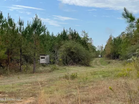Highway 27, Utica, MS 39175 photo 9