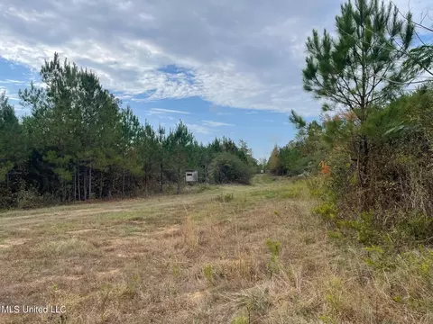 Highway 27, Utica, MS 39175 photo 12