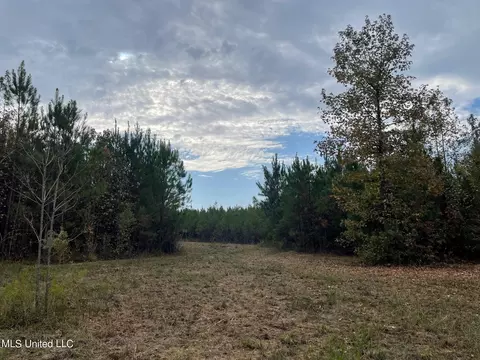 Highway 27, Utica, MS 39175 photo 13