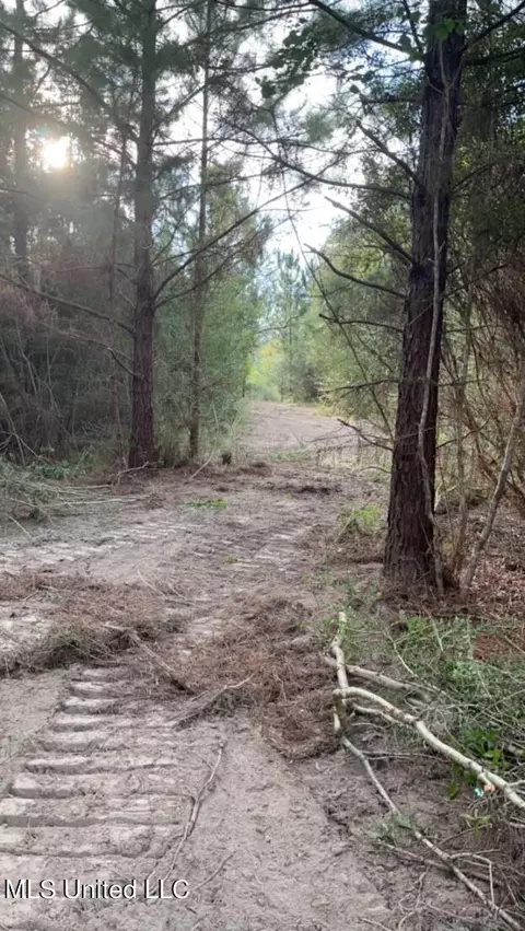 Rayford Shumock Road, Moss Point, MS 39562