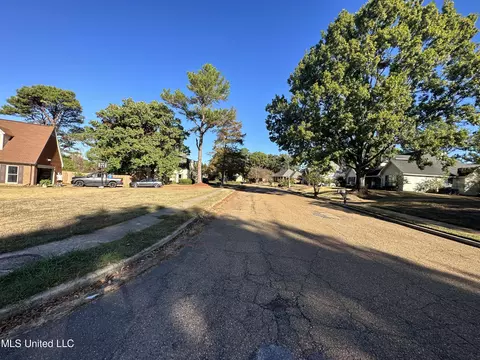 201 Stoney Brook Cv, Jackson, MS 39211 photo 50