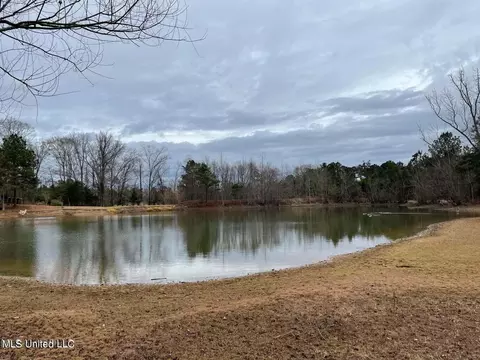 0 Springridge Rd, Terry, MS 39170 photo 10