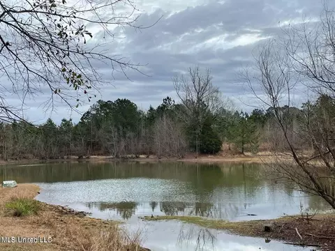 0 Springridge Rd, Terry, MS 39170 photo 9