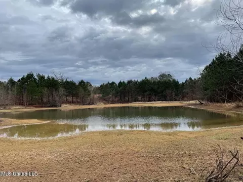 0 Springridge Rd, Terry, MS 39170 photo 11
