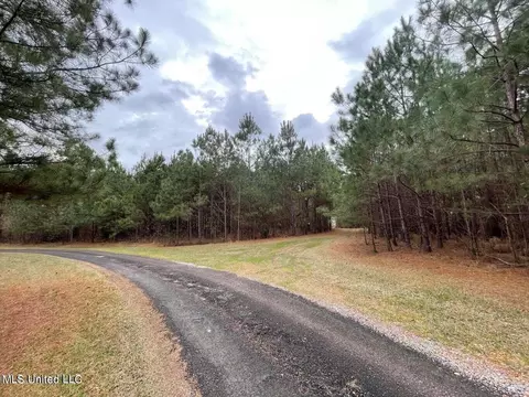 0 Springridge Rd, Terry, MS 39170 photo 8