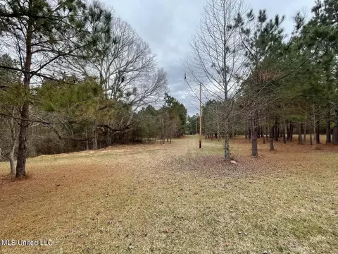 0 Springridge Rd, Terry, MS 39170 photo 6