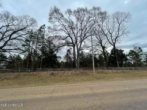 0 Springridge Rd, Terry, MS 39170 photo 4