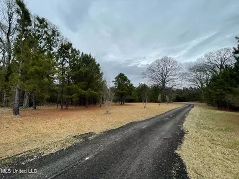 0 Springridge Rd, Terry, MS 39170 photo 7