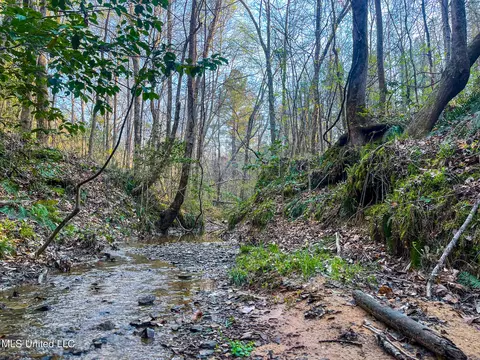 Natchez Trace/ Smith Rd, French Camp, MS 39745