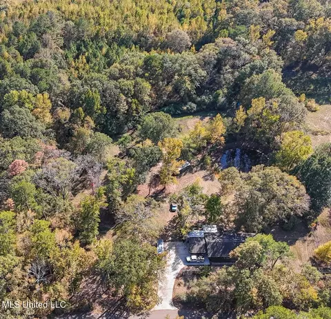 170 Coon Hunters Rd, Brandon, MS 39042 photo 6