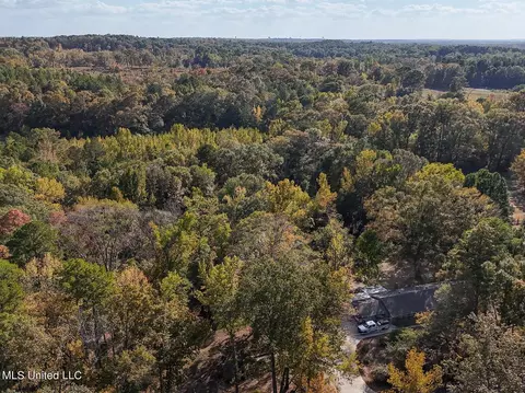 170 Coon Hunters Rd, Brandon, MS 39042 photo 9
