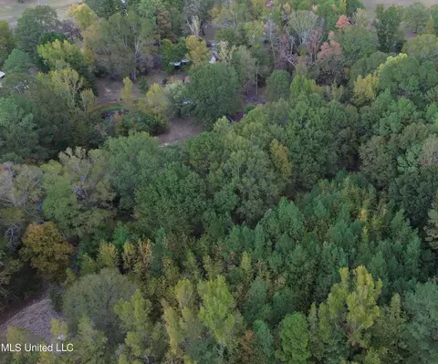 170 Coon Hunters Rd, Brandon, MS 39042 photo 5