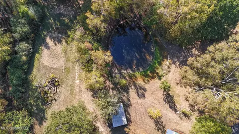 170 Coon Hunters Rd, Brandon, MS 39042 photo 8