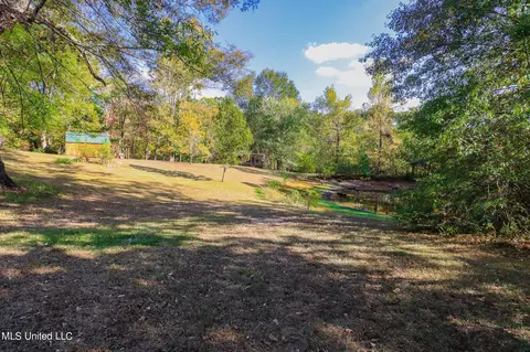 170 Coon Hunters Rd, Brandon, MS 39042 photo 12