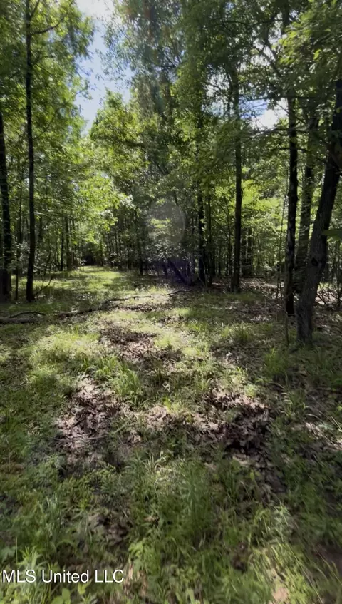 5135 S Hwy 51, Hernando, MS 38632 photo 2