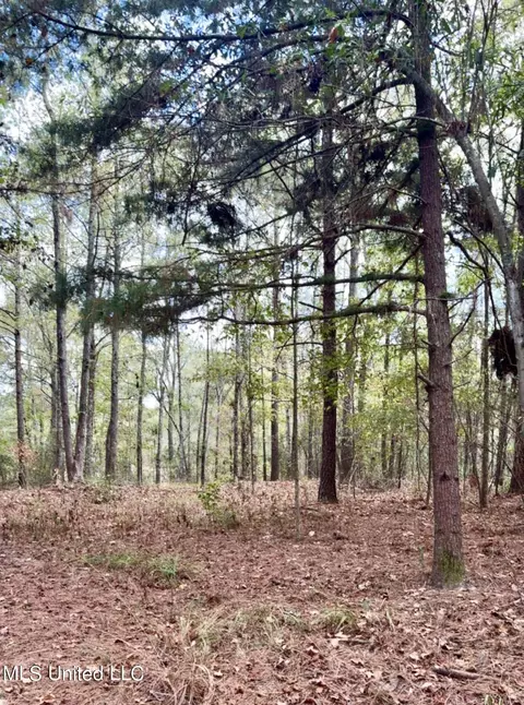 1062 Dry Creek Rd, Mendenhall, MS 39114