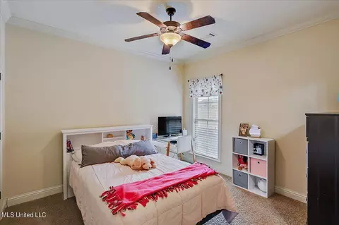 809 Willow Grande Circle Cir, Brandon, MS 39047 photo 30