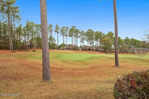 809 Willow Grande Circle Cir, Brandon, MS 39047 photo 3