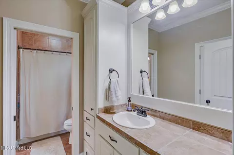 809 Willow Grande Circle Cir, Brandon, MS 39047 photo 29