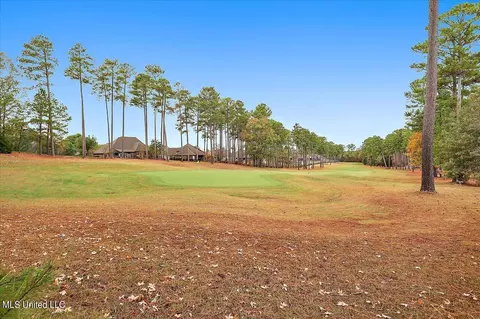 809 Willow Grande Circle Cir, Brandon, MS 39047 photo 36