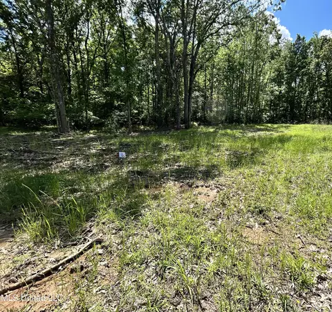 5147 S Hwy 51, Hernando, MS 38632 photo 2