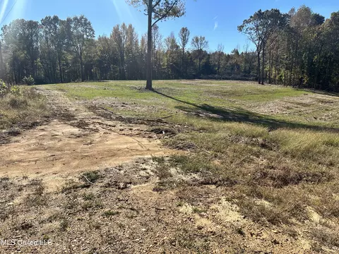 5163 S Hwy 51, Hernando, MS 38632 photo 2