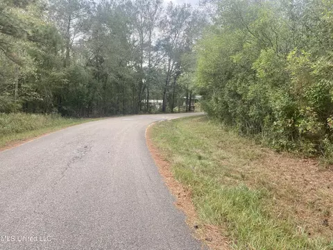 Nhn John Bond Road, Wiggins, MS 39577 photo 3