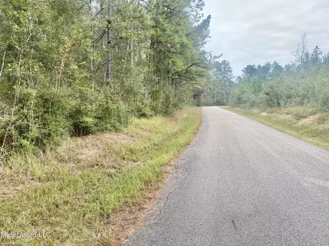 Nhn John Bond Road, Wiggins, MS 39577 photo 2