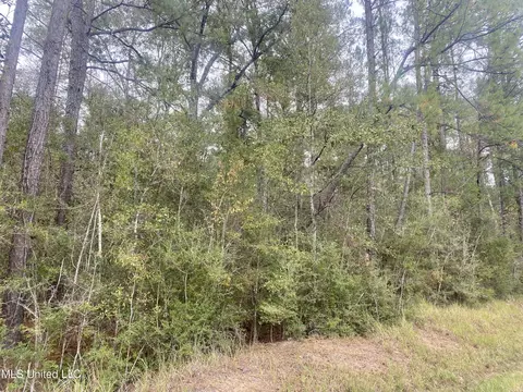 Nhn John Bond Road, Wiggins, MS 39577 photo 4