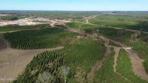 Stump Ridge Road, Brandon, MS 39047 photo 11