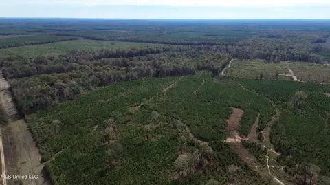 Stump Ridge Road, Brandon, MS 39047 photo 4