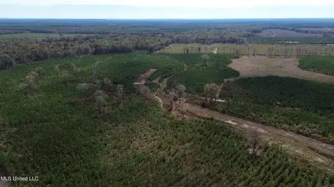 Stump Ridge Road, Brandon, MS 39047 photo 3