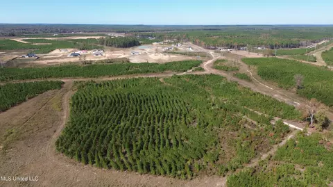 Stump Ridge Road, Brandon, MS 39047 photo 12