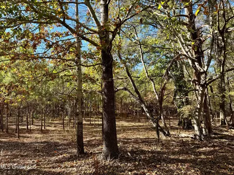 107 Windfall Trl, Madison, MS 39110