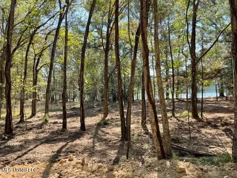 Deer Haven Phase Ii, Madison, MS 39110 photo 7