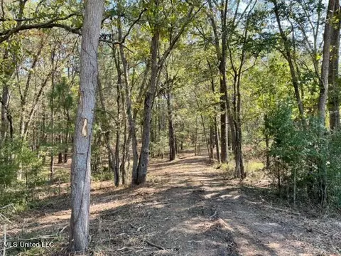 Deer Haven Phase Ii, Madison, MS 39110