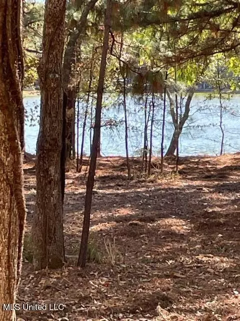 Deer Haven Phase Ii, Madison, MS 39110 photo 11
