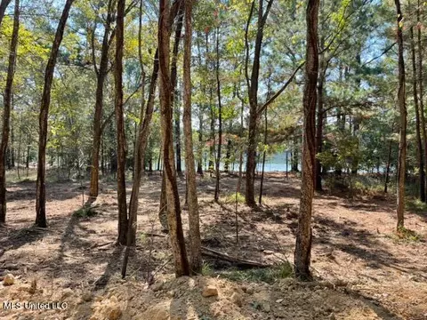 Deer Haven Phase Ii, Madison, MS 39110 photo 5