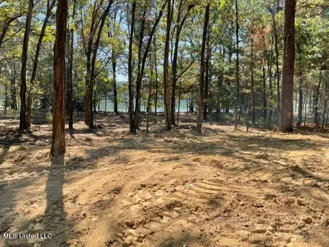 Deer Haven Phase Ii, Madison, MS 39110 photo 4