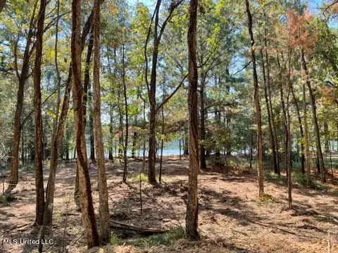Deer Haven Phase Ii, Madison, MS 39110 photo 6
