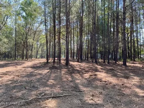 Deer Haven Phase Ii, Madison, MS 39110 photo 2